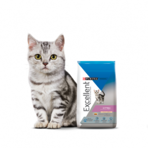 Alimento Excellent Para Gatitos Kitten Sabor Pollo y Arroz