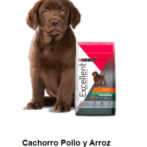 Alimento Excellent Puppy Para Perro Cachorro De Raza Mediana/Grande Sabor Pollo y Arroz