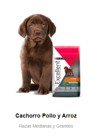 Alimento Excellent Puppy Para Perro Cachorro De Raza Mediana/Grande Sabor Pollo y Arroz