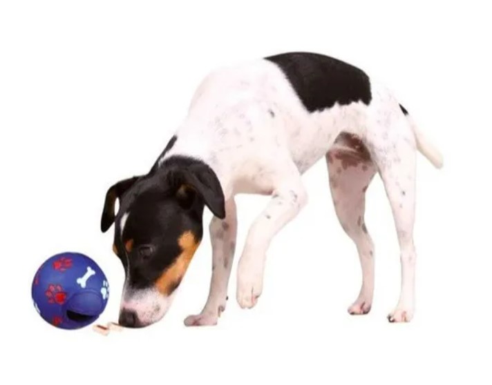 Pelota Para Perro Dosificadora Alimento Snacks Trixie 7 Cm - Imagen 2