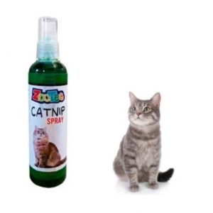 Spray Catnip 60ml Zootec
