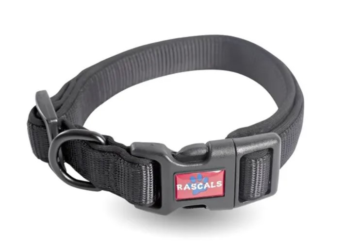 Collar Para Perros Regulable Premium Rascals