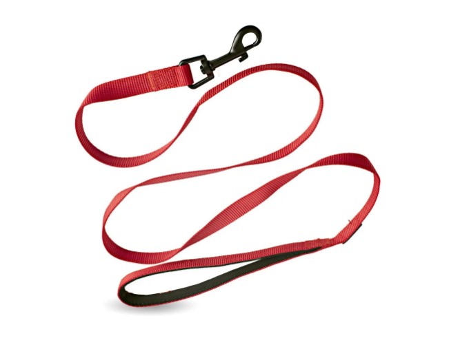 Correa Perro Acolchonado Premium Rascals - Imagen 3