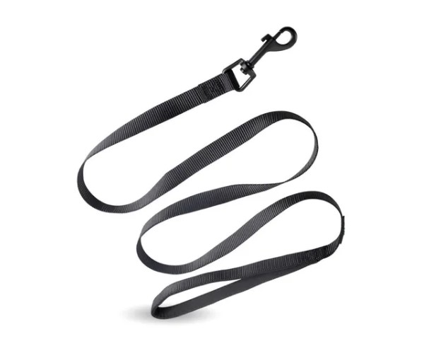 Correa Perro Acolchonado Premium Rascals - Imagen 2