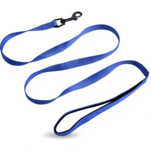 Correa Perro Acolchonado Premium Rascals