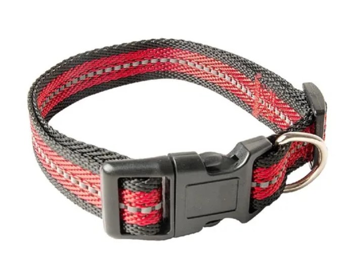 Collar Perro Reflectivo Rascals