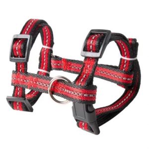 Arnes Reflectivo Para Perro Extensible Resistente