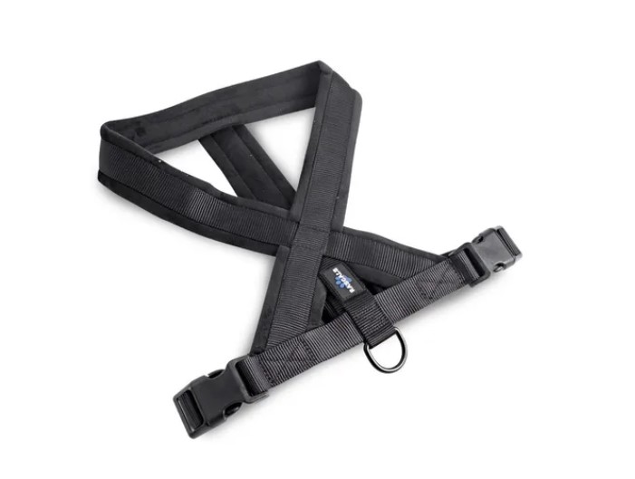 Arnés Perro Acolchonado Premium Rascals - Imagen 2