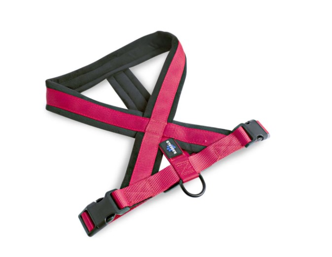 Arnés Perro Acolchonado Premium Rascals