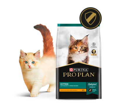 Alimento Pro Plan Kitten Para Gato De Temprana Edad Sabor Pollo/arroz