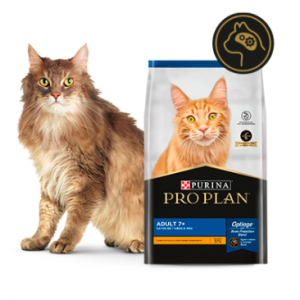 Alimento Pro Plan Active +7 Para Gato Señior Sabor Pollo