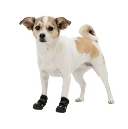 Botas Antideslizantes Walker Para Perro trixie - Imagen 6