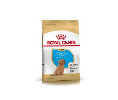 Alimento Royal Canin Caniche Junior 3kg