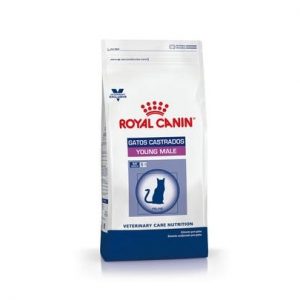 Alimento Royal Canin Gato Castrado Young Macho