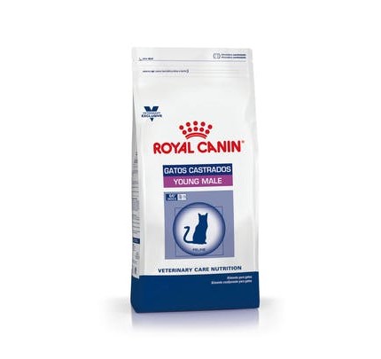 Alimento Royal Canin Gato Castrado Young Macho