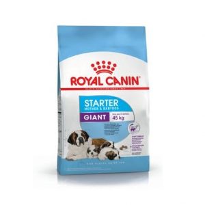 Alimento Royal Canin Starter Mother & Baby Dog 10kg