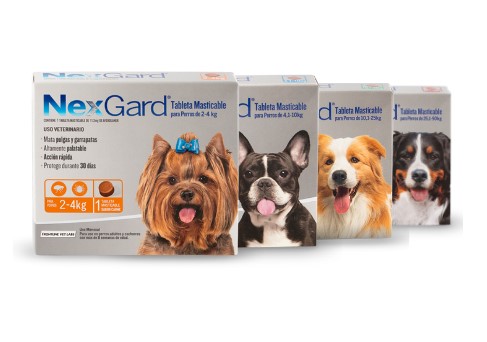 NexGard Comprimido Para Perros