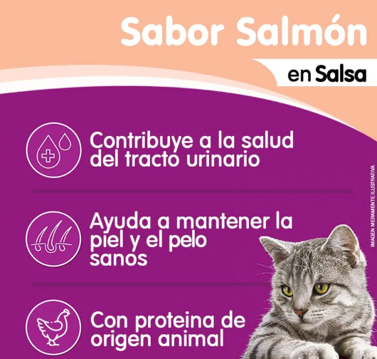 Pouch Whiskas Para Gato Sabor Salmón 85gr - Imagen 4