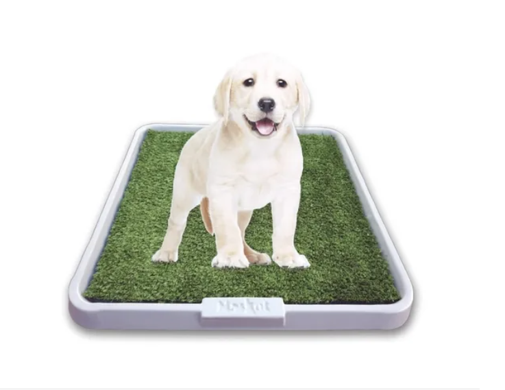 Bandeja Sanitaria Bicapa Plástico Resistente Maskot