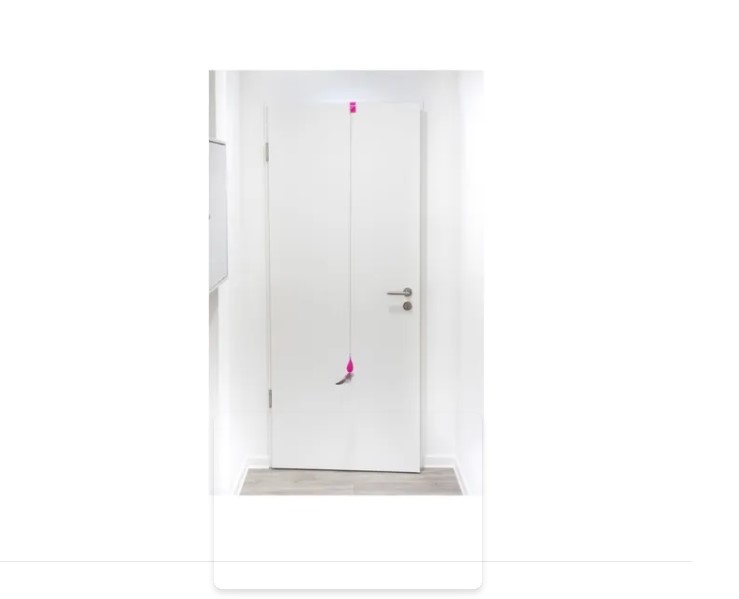 Juguete Para Gato Dispenser Snack Con Plumas Para Puertas - Imagen 3