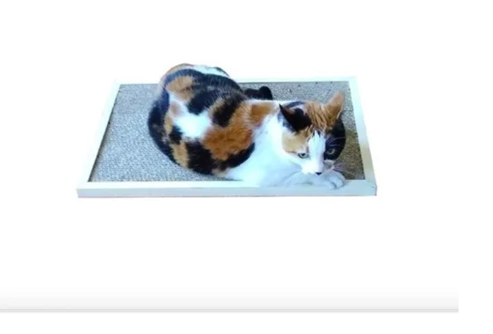 Rascador Cartocat Tabla Puente Excelente Calidad - Imagen 2