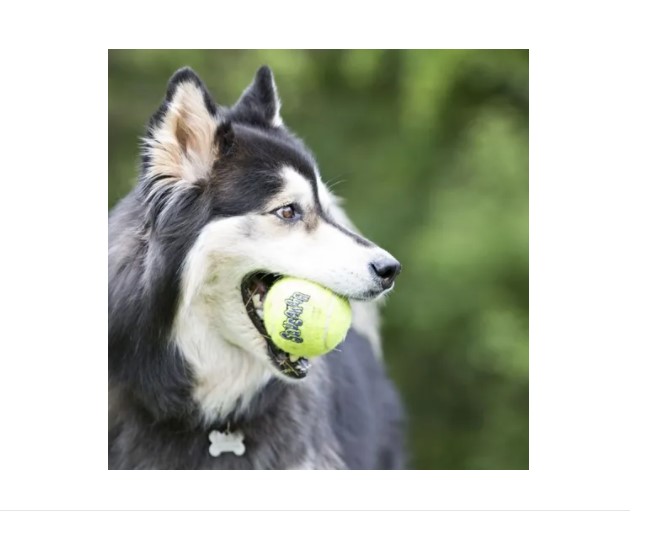 Juguete Kong Duramax Ball Pelota Medium Para Perros Con Chifle - Imagen 3
