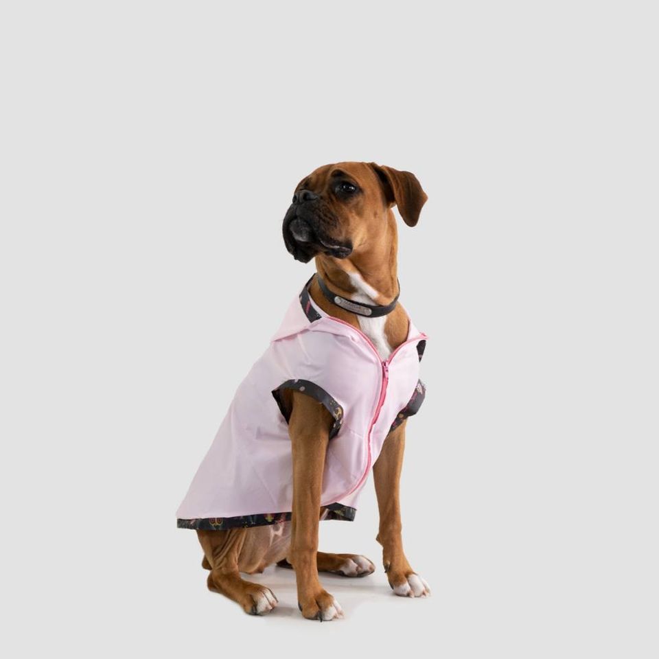 Abrigo Para Perros Poncho Talle 1 Varios Colores - Imagen 3