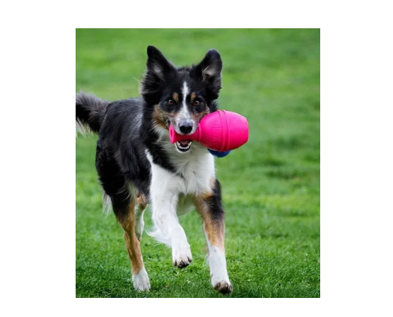 Juguete Kong Genius Leo Small Para Perro - Imagen 2