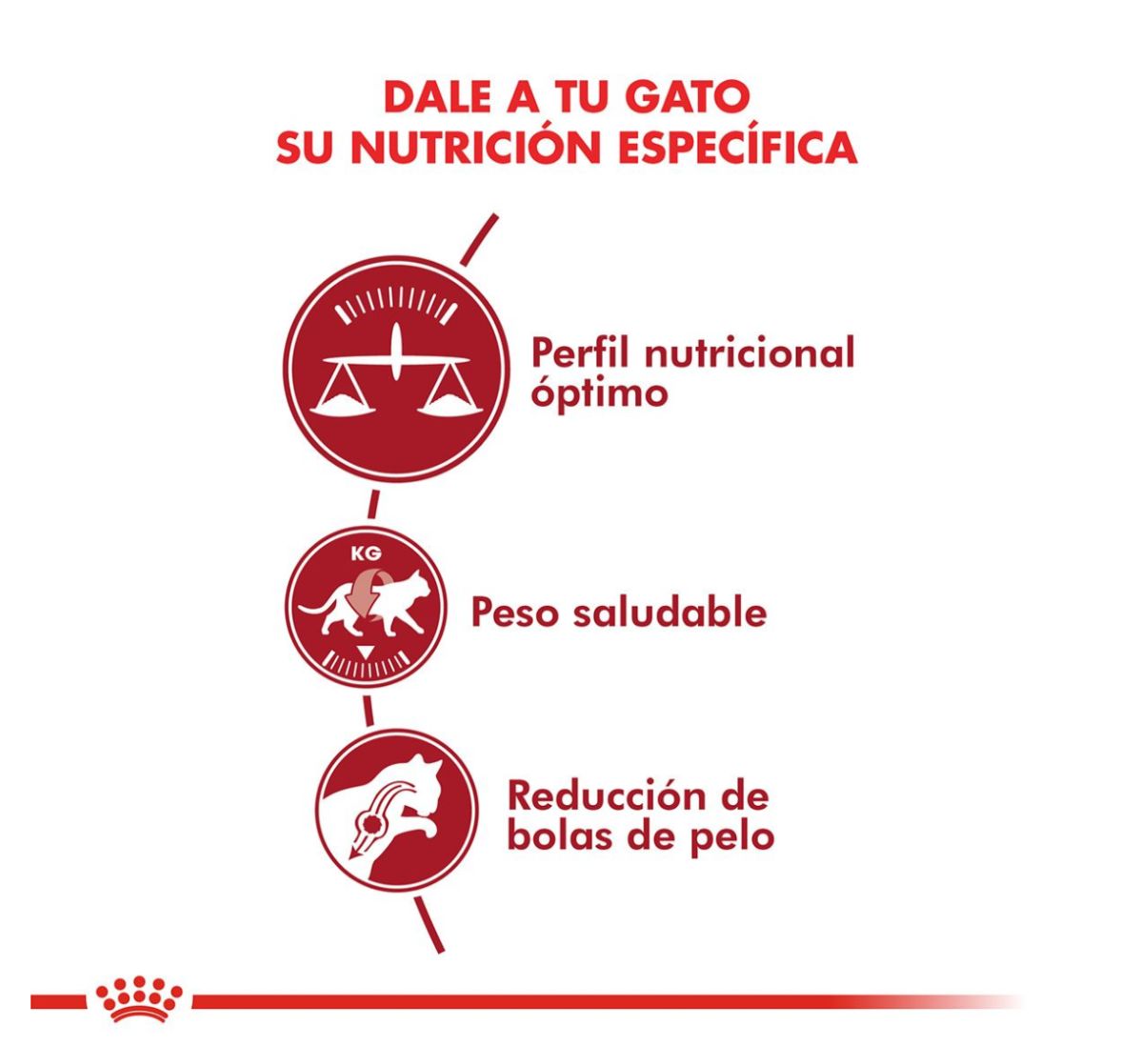 Alimento Fraccionado Royal Fit X1 KG - Imagen 2