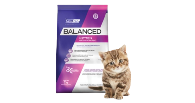Alimento Fraccionado Vital Can Balanced Kitten X1 KG - Imagen 3