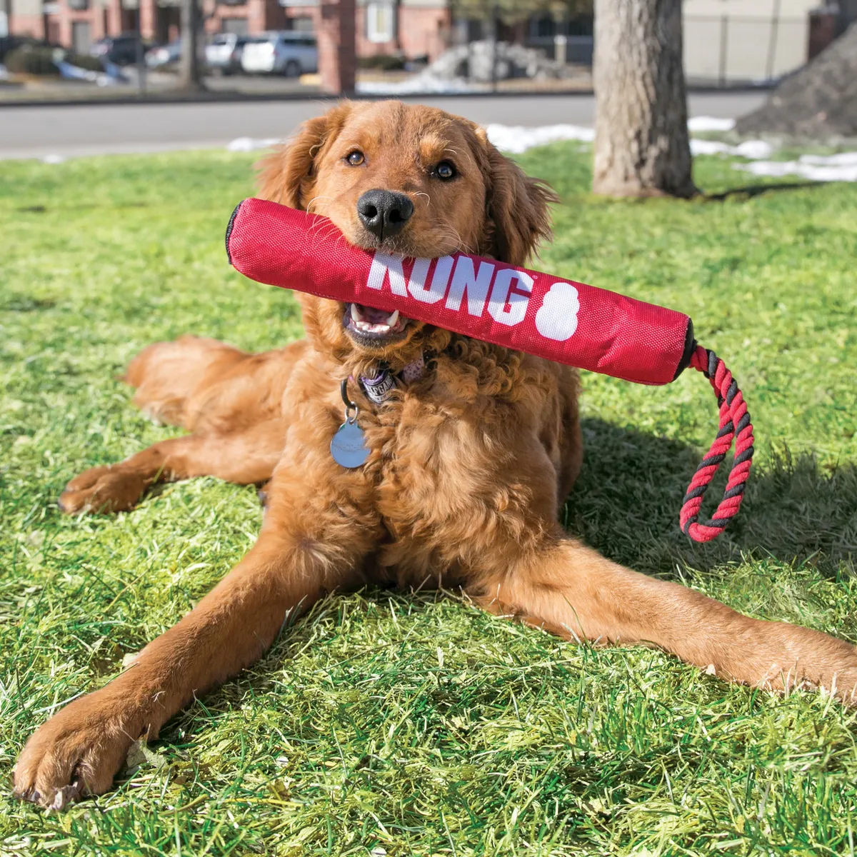 Juguete Para Perro Kong Signature Palo Con Soga Medium Rojo - Imagen 3